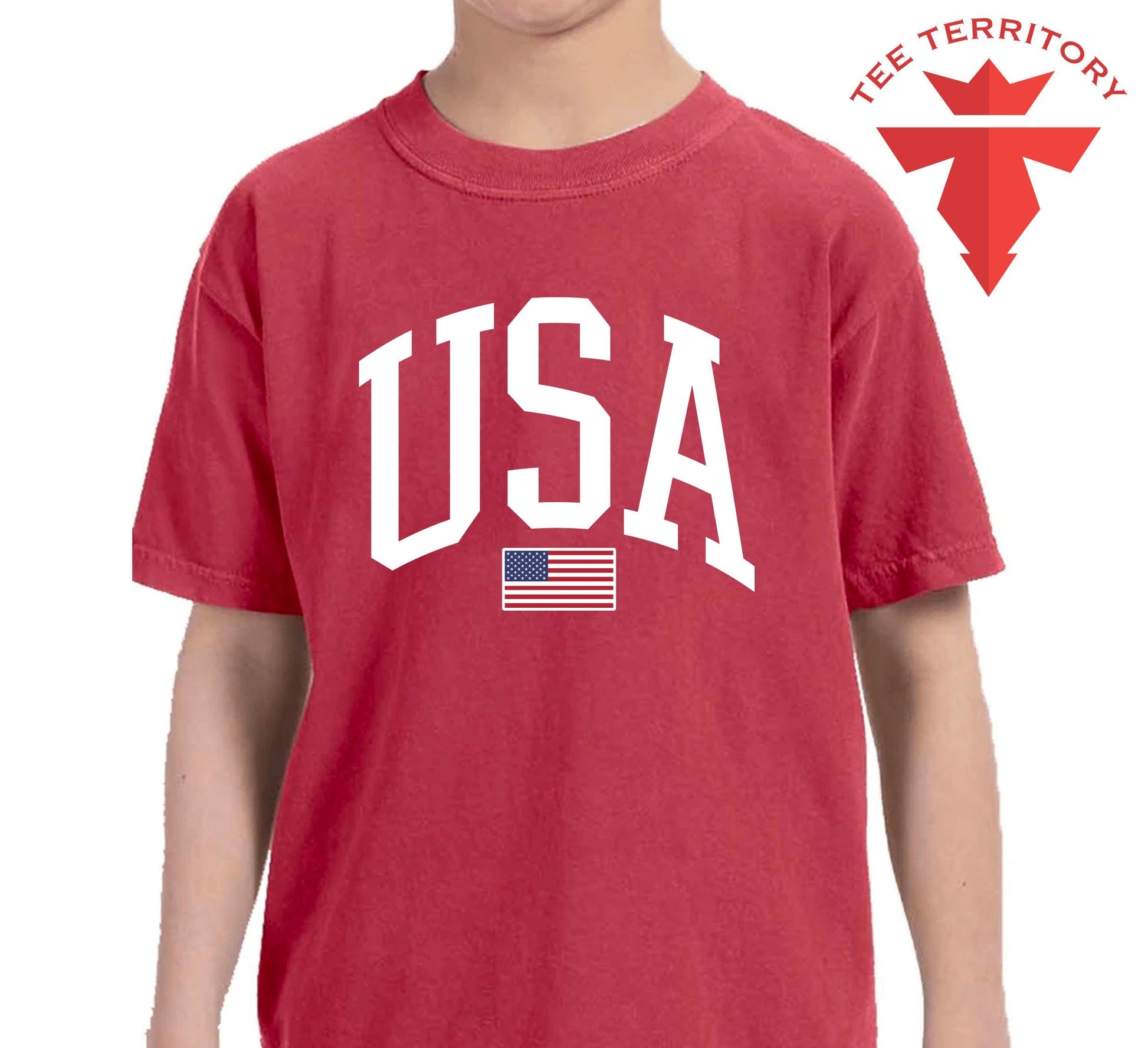 Comfort Colors USA Flag Tshirt, 4 of July Tshirt, USA Flag Tshirt, USA Shirt for 4of July, Independent Day Shirt, Retro Usa Pary, Usa Tee