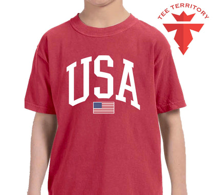 Comfort Colors USA Flag Tshirt, 4 of July Tshirt, USA Flag Tshirt, USA Shirt for 4of July, Independent Day Shirt, Retro Usa Pary, Usa Tee