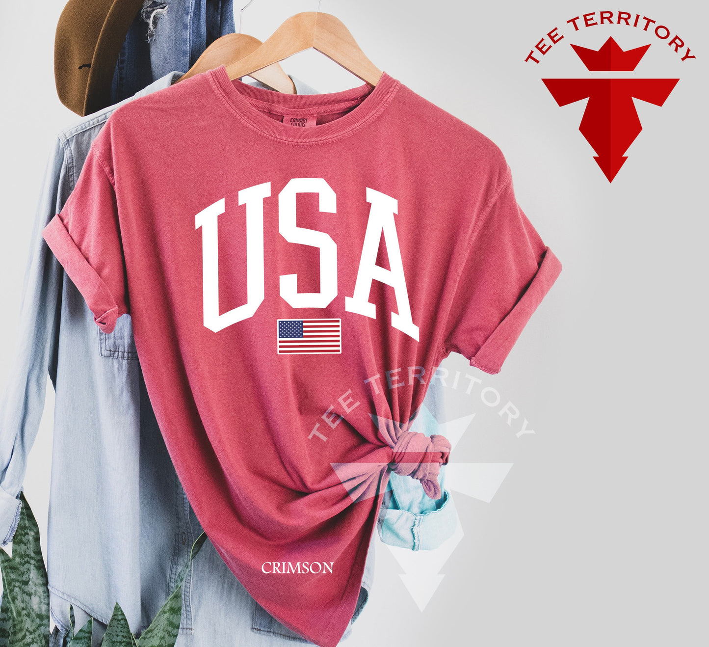Comfort Colors USA Flag Tshirt, 4 of July Tshirt, USA Flag Tshirt, USA Shirt for 4of July, Independent Day Shirt, Retro Usa Pary, Usa Tee