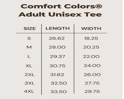 Comfort Colors Retro America Shirt, America The Beautiful, 4th Of July Shirt, Fourth Of July, Patriotic USA Gift, Unisex Graphic Tee