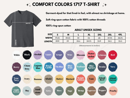 Comfort Colors® Built For The People Shirt, Liberal Fourth of July Tee, PBS USPS NASA Sweatshirt, Leftist Protest Gift Tee