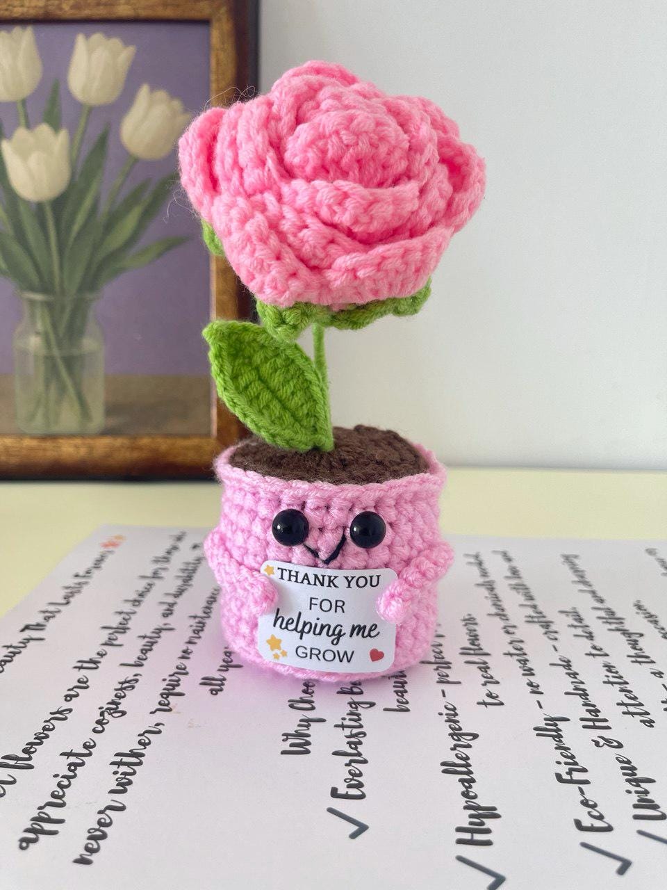 Personalized Gift – Crochet Flower Pot Decor – Encouragement Gift – Emotional Support Gift – Mental Health Desk Decor