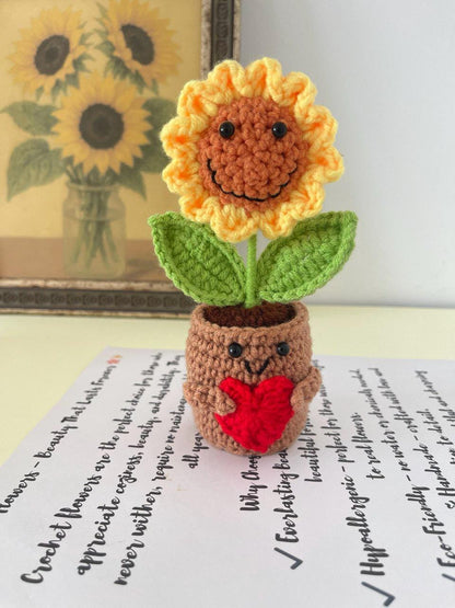 Personalized Gift – Crochet Flower Pot Decor – Encouragement Gift – Emotional Support Gift – Mental Health Desk Decor