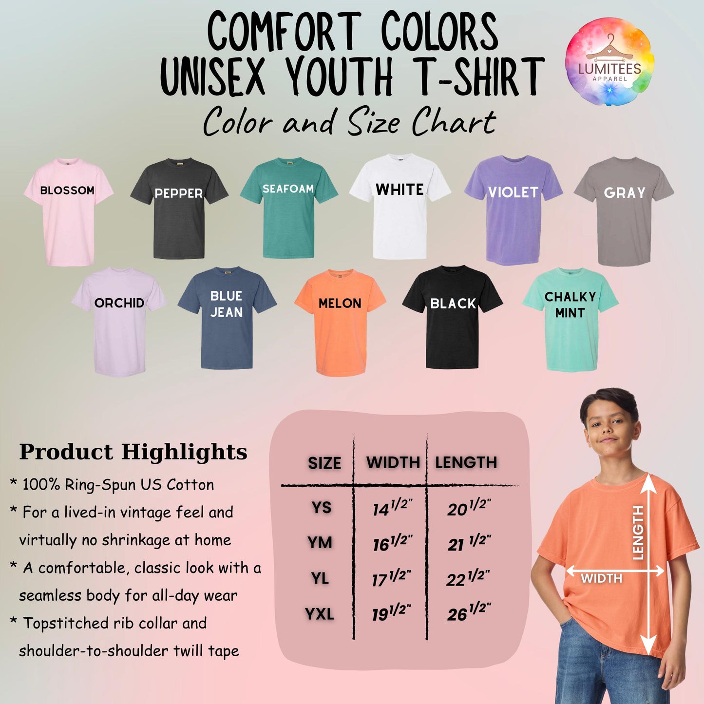 Comfort Colors® America Raccoon Hot Dog Shirt, Kids 4th of July Raccoon Shirt, Patriotic American Flag Tee, Women's Retro USA Animal T-Shirt