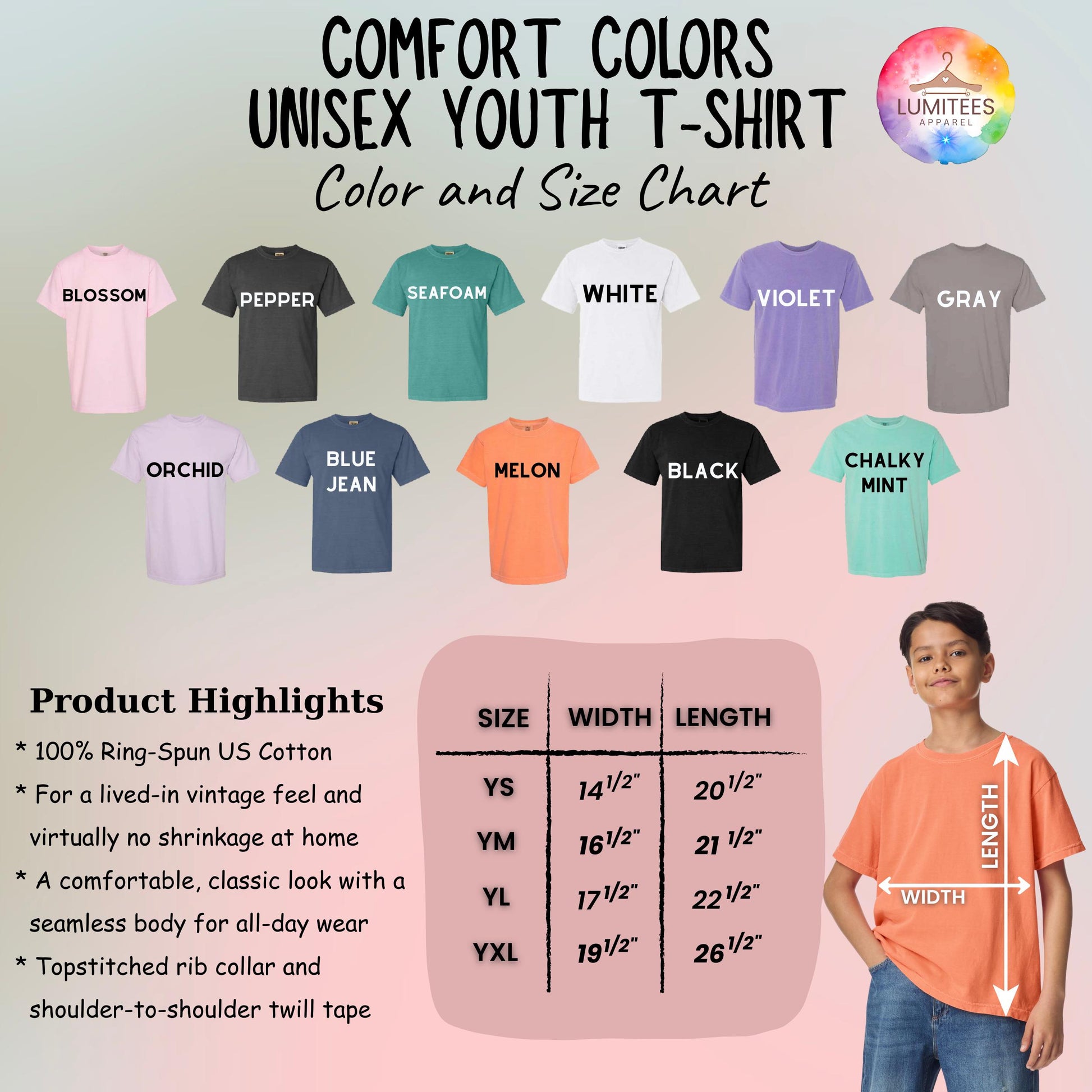 Comfort Colors® America Raccoon Hot Dog Shirt, Kids 4th of July Raccoon Shirt, Patriotic American Flag Tee, Women's Retro USA Animal T-Shirt