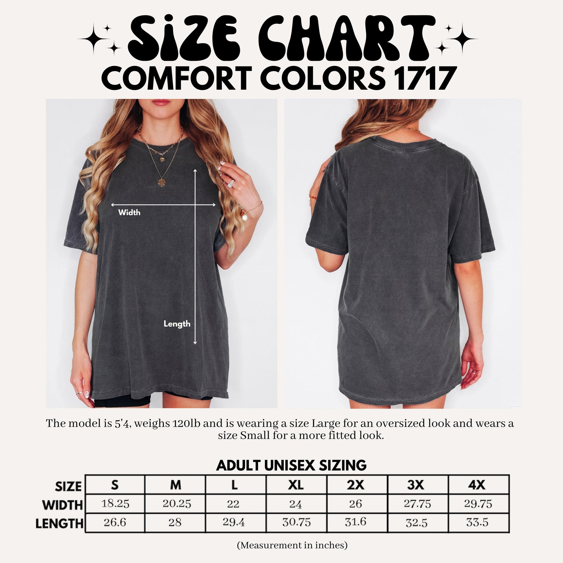 Patriotic Goose T-Shirts, July 4th Comfort Colors®, USA Pride, American, Independence Day Apparel