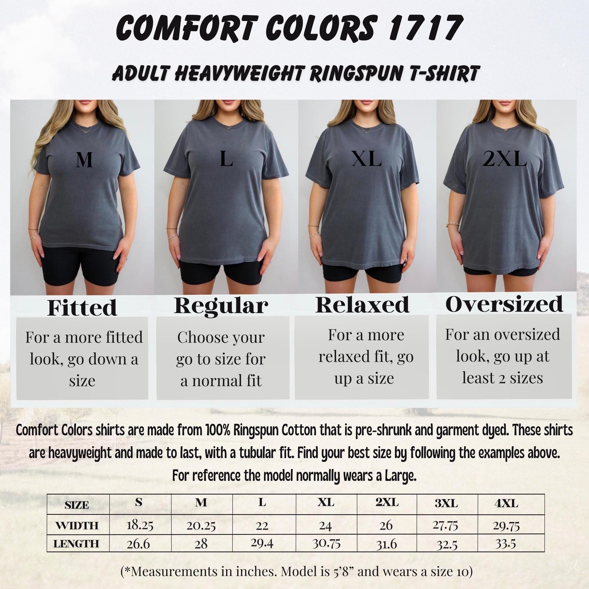 Comfort Colors America Anniversary Tshirt, 1776–2026 USA Shirt,ana2835