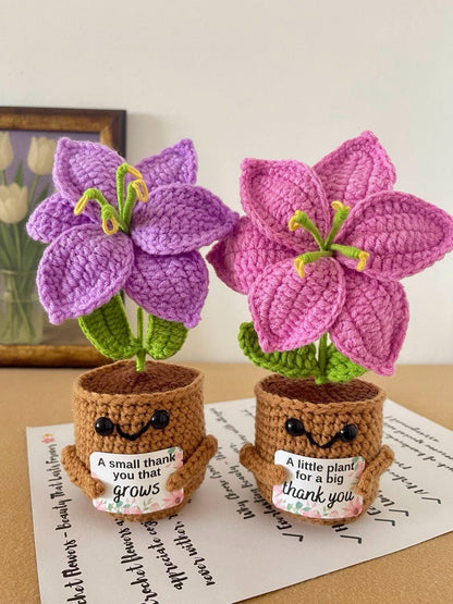 Personalized Gift – Crochet Flower Pot Decor – Encouragement Gift – Emotional Support Gift – Mental Health Desk Decor