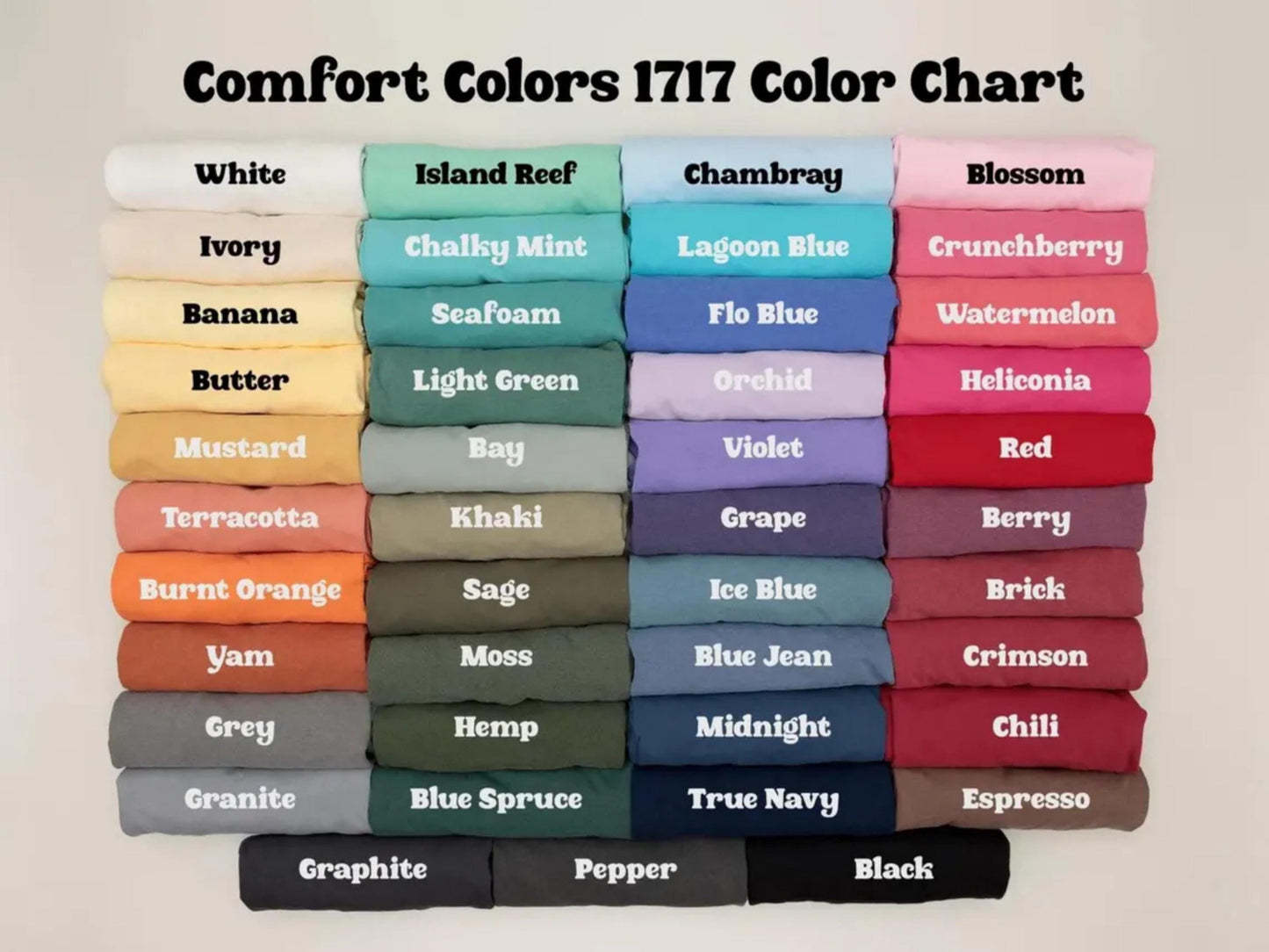 France Soccer Shirt Comfort Colors Retro Football Match Tee 2026 Fan Top Number 10