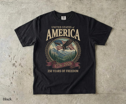 America 250th Anniversary 90s Graphic Style Comfort Colors Tshirt, Y2k Oversized Patriotic USA Streetwear