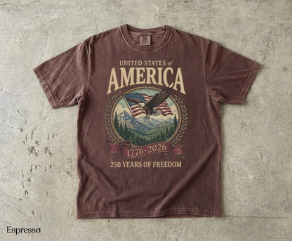 America 250th Anniversary 90s Graphic Style Comfort Colors Tshirt, Y2k Oversized Patriotic USA Streetwear