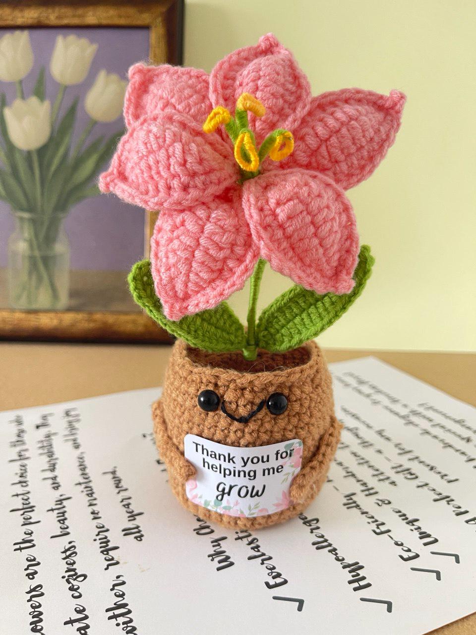 Personalized Gift – Crochet Flower Pot Decor – Encouragement Gift – Emotional Support Gift – Mental Health Desk Decor