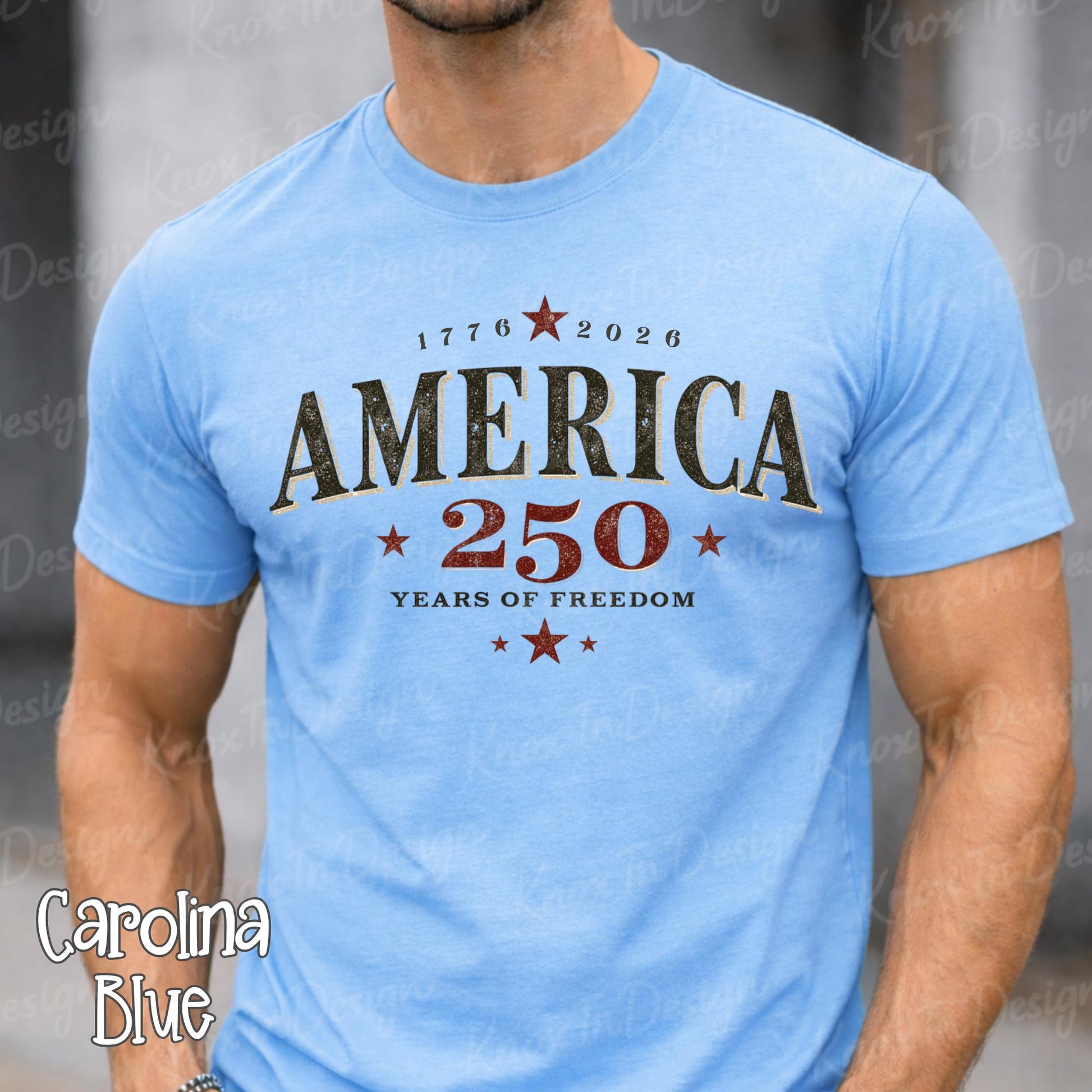 America 250 Shirt, Patriotic USA 1776 Tee, July 4th Celebration Shirt, America Anniversary Tshirt, Summer USA Graphic Tee Up to 3X for Him