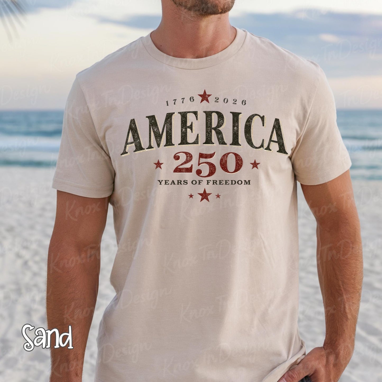 America 250 Shirt, Patriotic USA 1776 Tee, July 4th Celebration Shirt, America Anniversary Tshirt, Summer USA Graphic Tee Up to 3X for Him