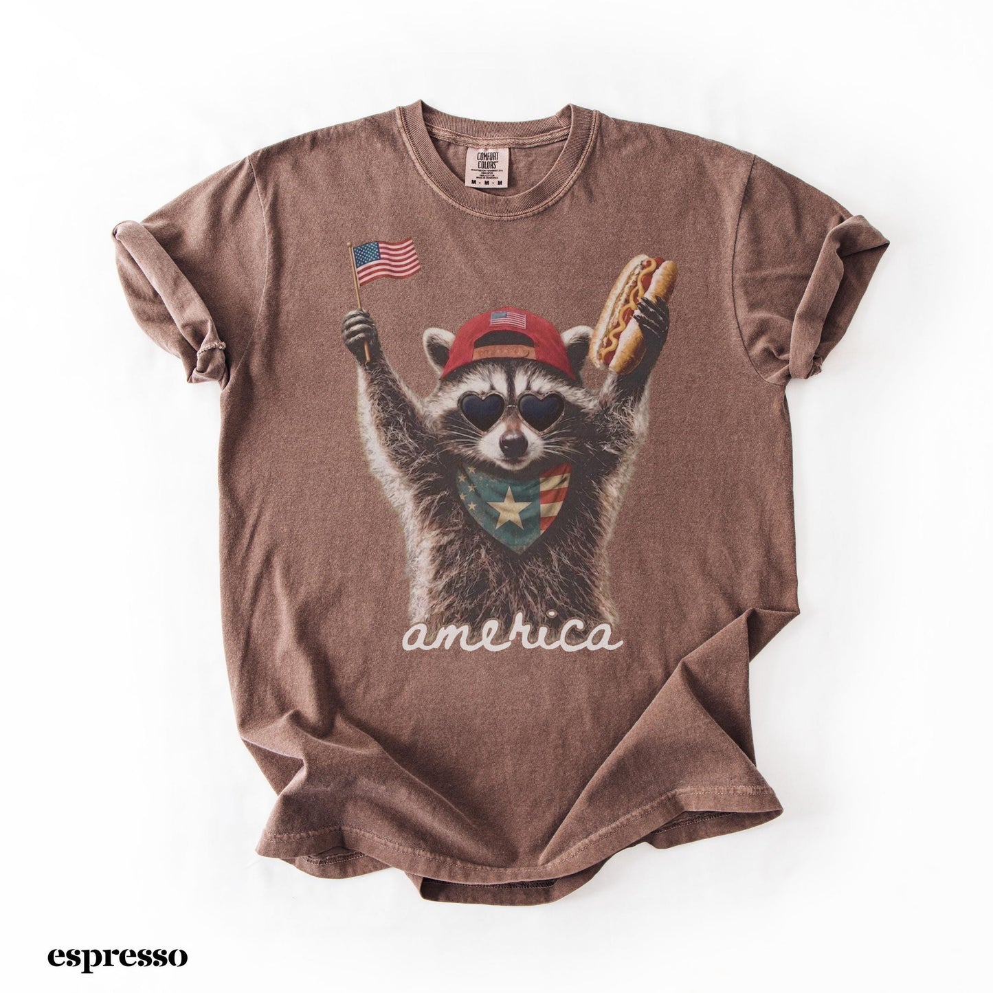 Comfort Colors® America Raccoon Hot Dog Shirt, Kids 4th of July Raccoon Shirt, Patriotic American Flag Tee, Women's Retro USA Animal T-Shirt