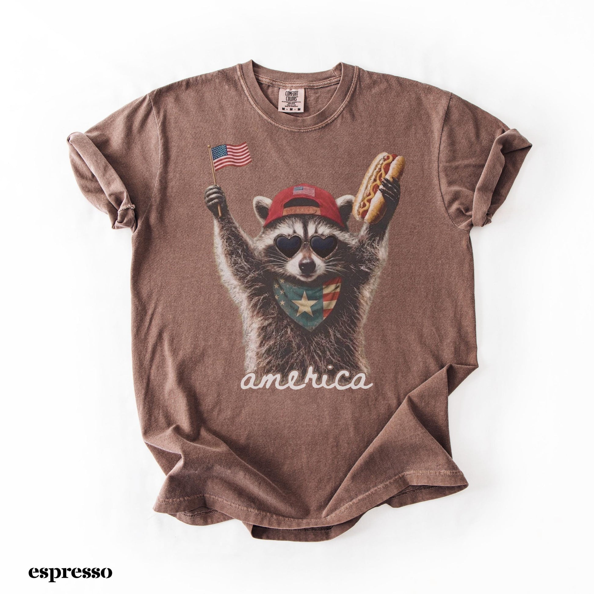Comfort Colors® America Raccoon Hot Dog Shirt, Kids 4th of July Raccoon Shirt, Patriotic American Flag Tee, Women's Retro USA Animal T-Shirt